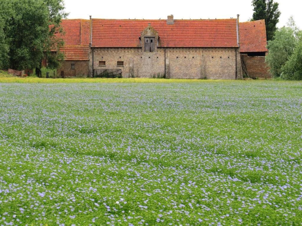 Ferienhaus 't Hof Der Witte Damen