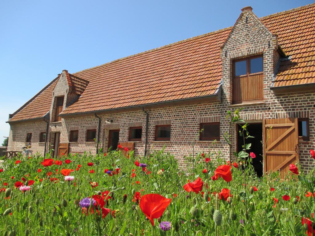 't Hof Der Witte Damen Ferienhaus
